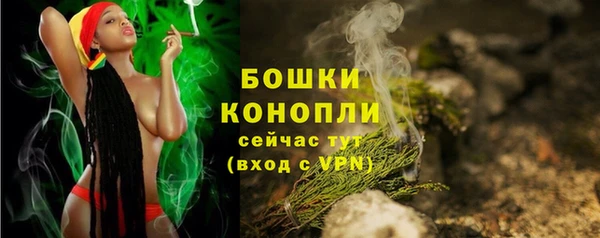 прущий лед Белокуриха