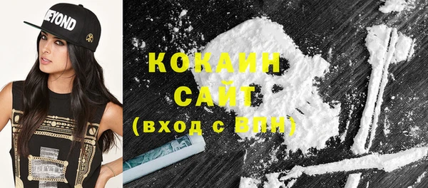 сатива Рославль