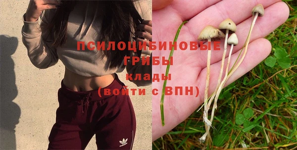 бутират Саяногорск