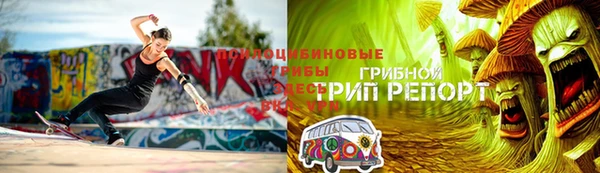 тгк Россошь